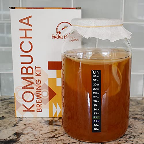 Deluxe Kombucha Starter Kit with Kombucha SCOBY & Starter Tea, Full Kombucha Kit with Bottles Swing Top Glass Bottles Kombucha Brewing Kit + 6 Bottles to Flavor Kombucha (Amber Bottles) - color: Amber