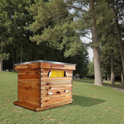 10 Frame Bee Hive Coated with Beeswax Complete Beehive Kit Bee Box with Beehive Frames and Wax Foundations Wax Coated Bee Hives for Beginner (1 Deep Box & 1 Medium Box)