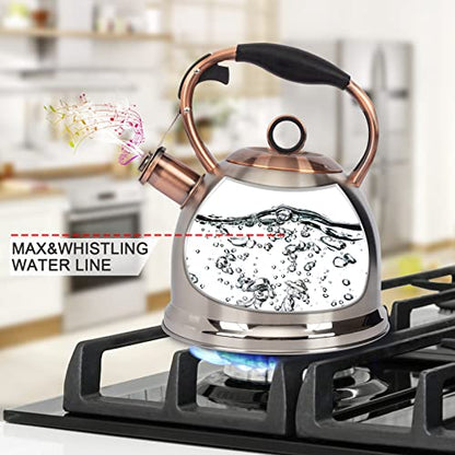 Whistling Stovetop Tea Kettle Food Grade Stainless Steel, Hot Water Fast to Boil for Stove Top-3.0Q - color: Silver-RW