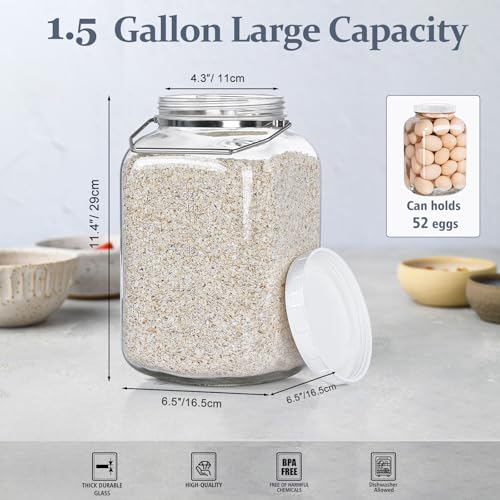 2 Pack 1.5 Gallon Glass Jar with Lid Wide Mouth, Large Mason Jar with Airtight Screw Lid and Handle, Clear Glass Storage Containers with 2 Scale Mark for Flour, Cookie, Candy, Kombucha and Fermention