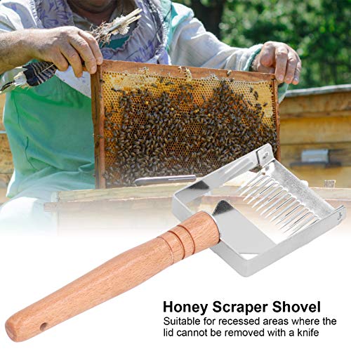 Scraper Stainless Steel, Honey Fork Scraper Shovel Stainless Steel Bee Hive Nest Uncapping Beekeeping Tool