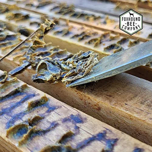 Foxhound Bee Co, Stainless Steel KW Beekeepers Hive Tool with J Hook for Easily Lifting Frames, Straight Edge for Prying Beekeeping Boxes Apart and Curved Edge for Scraping Wax - 2 Pack - style: KW Hive Tool - 2 Pack