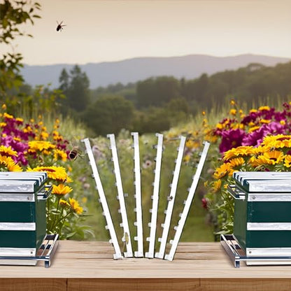 Zerodis 6Pcs Beehive Frame Spacers, Metal Beehive Frame Strips Spacers Bee Hive Box Spacing Tool Beekeeper Beekeeping Tools Equipment