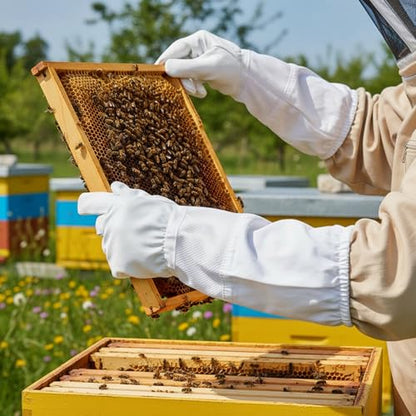 Bee Gloves, Beekeeping Gloves for Men & Women, Professional Bee with Ventilated Sleeves for Protection and Comfort