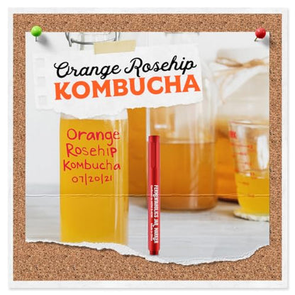 Fermentaholics BIG MOMMA Kombucha SCOBY – 12 fl o z – 6" Pellicle + 12 oz Starter Tea – Organic Kombucha Culture – Makes 1 Gallon