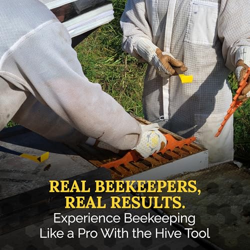 Hive Tool - Flat 2.5mm Thick Heat Treated Stainless Steel for Durability & Strength - Beekeeper Tools for Prying, Lifting & Scraping - Beekeeping Supplies - size: Standard