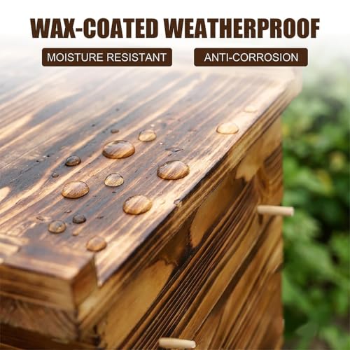 Beehive Box Kit, Pine Wood 5-Layer Structure Beeswax Coated Vertical Beehive, Without Nest Frame, with Metal Hive Entrance (Carbonized Version, 5-Layer Segmented Design) - color: Carbonized version, size: 5-Layer Vertical Beehive