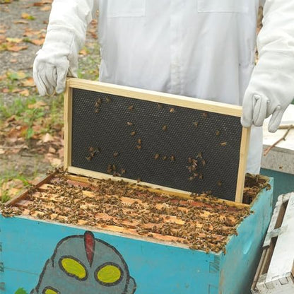 10 Pcs Beehive Waxed Coated Foundation Sheet, Plastic Honeycombs Bee Wax Nest Foundation Beehive Nest Foundation Sheet for Beehive Narrow Frames