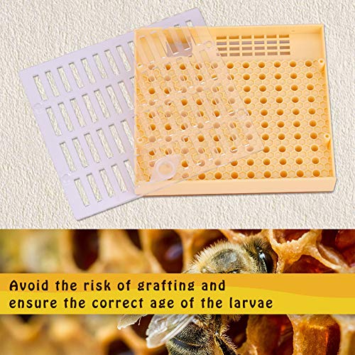 Beekeeping Tools Kit Rearing Cup Set Grafting Tool for Plastic Bee Box Compatible with Bee Cultivating Equipment