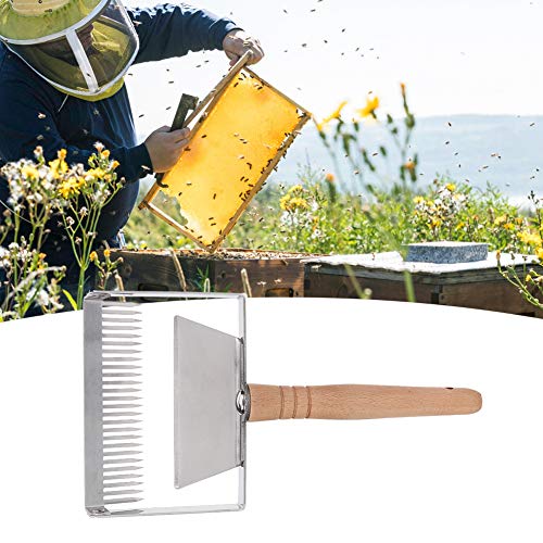 Beekeeping Uncapping Fork, Stainless Steel Scraper with Wood Handle for Honey Beehive, Apicultural Equipment Beekeeping Tool
