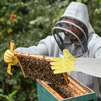 NUOBESTY 1 Pair Heavy Duty Beekeeping Gloves with Extended Sleeve Protection, Sturdy Pu and Canvas Material, Ventilated Design for Beekeepers, for Beekeeping and Gardening Outdoor Work