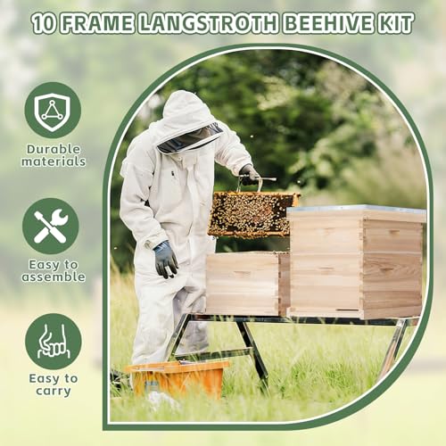 10 Frame Bee Hive, Compelte Bee Hive Starter Kit Includes 1 Deep Brood Honey Bee Hives Box, 1 Medium Super Bee Box with Beehive Frames and Foundation Sheets - size: 2-Layre