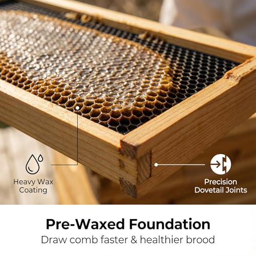 10 Frame Beehive Kit with Beeswax Coated Frames, Complete Langstroth Beehive for Beekeeping, Includes Waxed Foundation, 2 Deep Boxes and 1 Medium Box for Honey Production - size: 10 Frame Beehive Kit