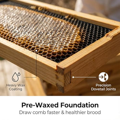 10 Frame Beehive Kit with Beeswax Coated Frames, Complete Langstroth Beehive for Beekeeping, Includes Waxed Foundation, 2 Deep Boxes and 1 Medium Box for Honey Production - size: 10 Frame Beehive Kit