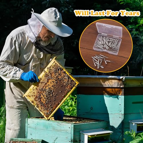 DECOHS 100 Pcs Metal Beeswax Foundation Support Pins with Box, Galvanized Iron Beehive Frame Support Pins for Holding, Beekeeping Supplies