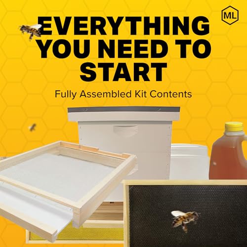 Mann Lake Complete Hive Kit Combo, Includes 1 Deep and 1 Medium Super Box, Quality Pine, Ideal for Beekeeping Beginners, Made in USA, 10 Frame, Painted