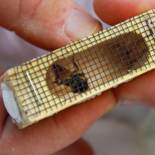 TEHAUX Beekeeping Queen Cage - 5pcs Handmade Wooden Bee Cages - Essential Beekeeper Equipment for Queen Rearing & Hive Transport Introduction - Wood Bee Catching Tool