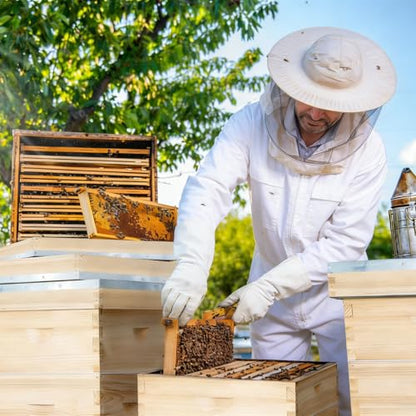 Bee Hive Boxes 10 Frame Langstroth Beehive,Complete Beehive Kit Includes 2 Deep Brood Bee Hives Box, 1 Medium Super Bee Box with Beehive Frames and Foundation - size: 3-Layre