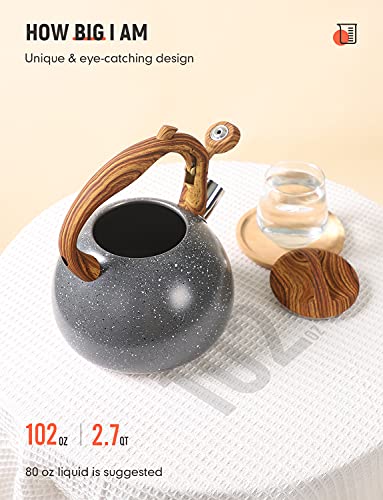 BELANKO 2.7 Quart Tea Kettle for Stovetops - Food Grade Stainless Steel Teapot with Loud Whistle, Cool-Touch Wood Pattern Handle, Rust-Resistant Whistling Kettle - Starry Gray - color: Starry Gray
