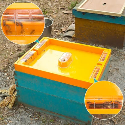 2pcs Bee Hive Feeder, Plastic Bee Top Feeder Langstroth 10 Frame Easy to Use Bee Feeding Tools in Hive Bee Feeder for Beekeeper Beekeeping Supplies - size: 2PCS