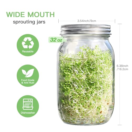Seed Sprouting Jar Kit - 2 Wide Mouth Mason Jars with 316 Stainless Steel Sprouting Lids Covers, Drip Tray and Stand for Growing Broccoli Alfalfa Beans Sprout (Two Jars)