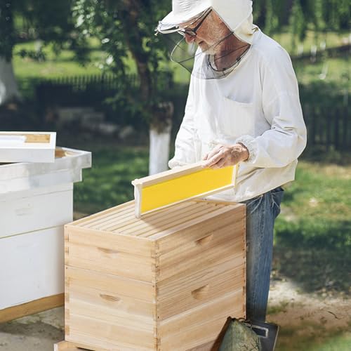 POLLIBEE 8 Frame Beehive kit, Complete Bee Hive for Beekeeper, Langstroth Bee Hives Include 1 Deep and 1 Medium Bee Box with Bee Frames and Foundation(Unassembled)