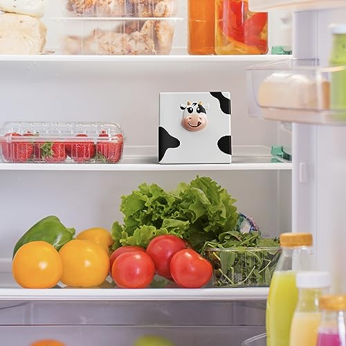 Sliced Cheese Container for Fridge and Fridge Deodorizer Odor Eliminator