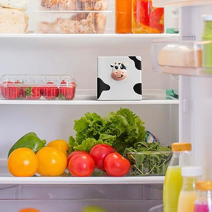 Sliced Cheese Container for Fridge and Fridge Deodorizer Odor Eliminator