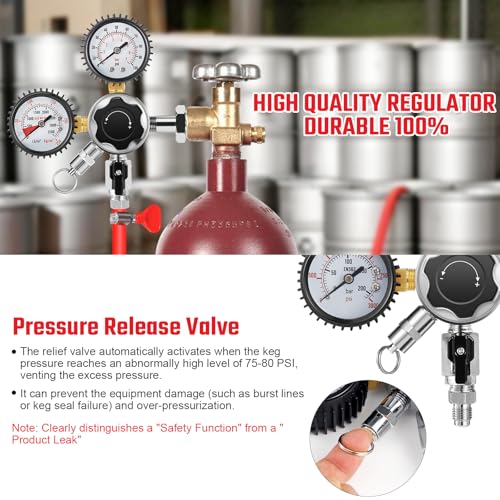 CGA580 Nitrogen Beer Regulator Nitrogen Tank Regulator, Dual Gauge Gas Regulator with 5Ft Beer Line, Nitrogen Keg Regulator with 2Pcs 5/16’’ Barbs Hose Clamps for Homebrew