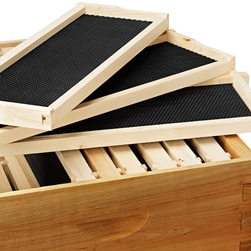Honey Keeper 100% Beeswax Beehive 10 Frame Kit Super Box and 10 Deep Frames with Foundations for Langstroth Beekeeping - style: 100% beeswaxed
