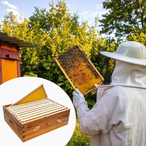 10 Frame Bee Box, Wax Coated Bee Hives with Beehives Frames and Wax Foundations, Langstroth Honey Super for Beekeeping Supplement (Unassembled) - style: with Window Medium