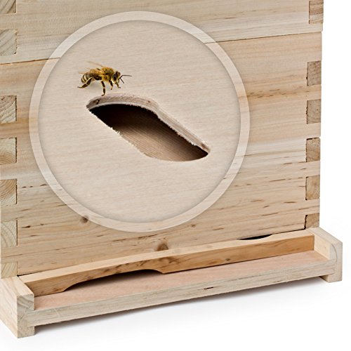 Honey Keeper Beehive 20 Frame Complete Box Kit (10 Deep and 10 Medium) with Metal Roof for Langstroth Beekeeping