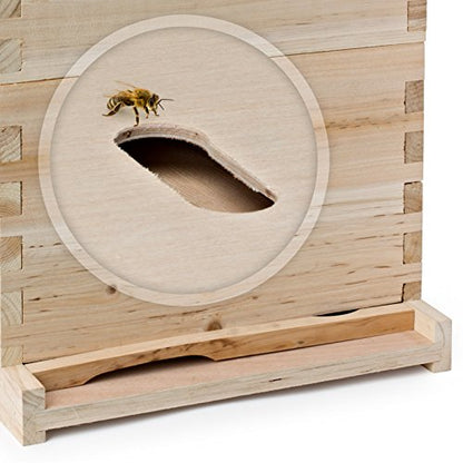 Honey Keeper Beehive 20 Frame Complete Box Kit (10 Deep and 10 Medium) with Metal Roof for Langstroth Beekeeping