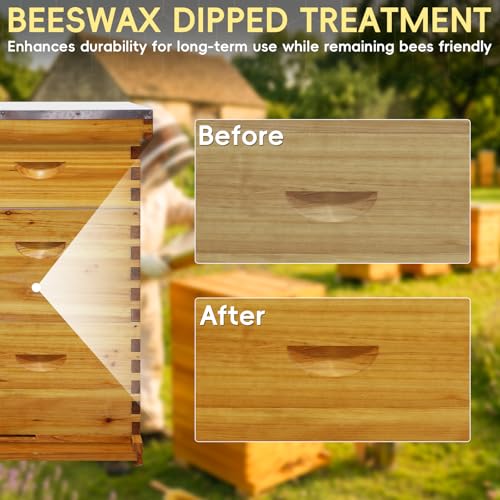 Langstroth 10 Frame Beehive Beeswax Coated, Complete Bee Hive Boxes Starter Kit Includes 2 Deep Hive Boxes and 1 Super Hive Box with Bee Frames and Foundations - size: 3-Layer