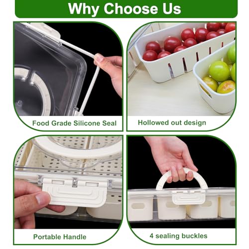 AIERSA Snackle Box Container,Divided Serving Tray with Lid,4 Compartment Travel Snack Container,Fruit Veggie Tray with Lid for Fridge Fresh Keeping,Portable Snack Tray for Picnic,Party,Travel