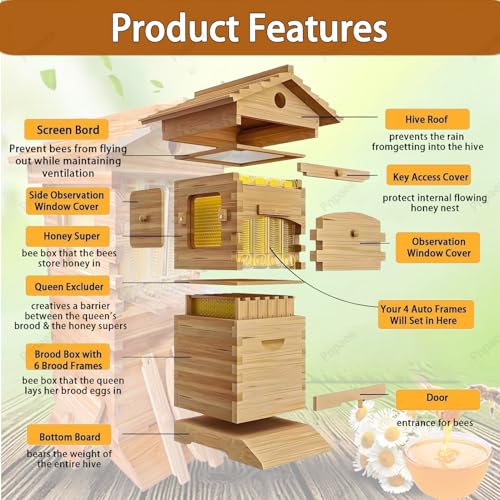 Bee Hive Starter Kit with 4 Frames,Wooden Beehive Box with Observation Window, Complete Honey Bee Hive Kit for Backyard Beekeeping Natural Wood Color