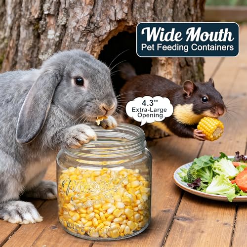 2 Pack Glass Jar with Lid, Half Gallon Mason Jar Wide Mouth for Pantry Storage, Flour, Pasta, Cookie, Candy, Fermenting, Pickle - Airtight Glass Storage Jars for Fridge w 2 Scale Marks(64 Oz)