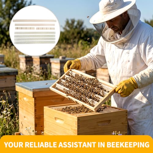 Beekeeping Queen Cell Cup Holder Frame Bar Set Double Row Royal Jelly Storage Strips for Beekeeping