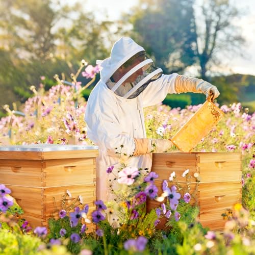 Honey Lake 10-Frame Langstroth Beehive Starter Kit, Beeswax Coated Complete Bee Hive Includes 2 Deep Brood Boxes & 2 Medium Super Bee Boxes with Beehive Frames and Foundations for Beekeepers (4 Layer) - size: 10-Frame 4-Layer