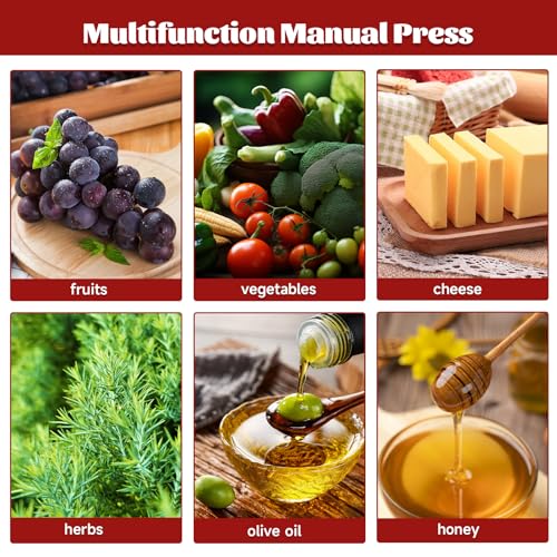 3L/0.8Gal Fruit Wine Press Stainless Steel Barrels Manual Juice Maker Cider Apple Grape Tincture Vegetables Honey Olive Oil Making Press with T-Handle for Herb Vegetables Outdoor & Home Kitchen Use - size: 3L/0.8Gallon with T-shaped