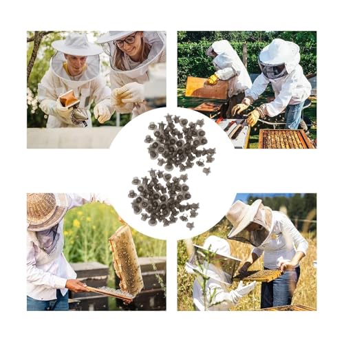 300PCS Queen Bee Rearing Cup Plastic Vivid Color Beekeeping Bee Cell Cup for Beekeeper Equipment Bees Tools(Gray) - color: Gray
