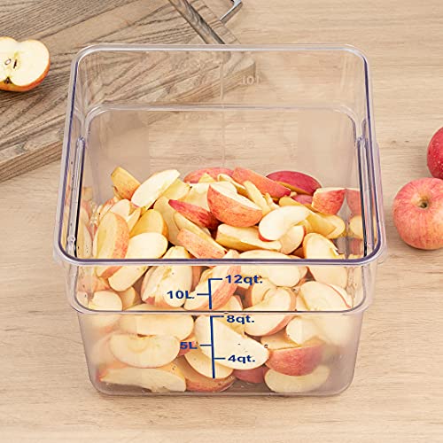 Restaurantware Met Lux 12 Quart Brine Buckets 10 Square Marinating Containers - With Volume Markers Built-In Handles Clear And Blue Plastic Dough Rising Buckets Freezer-Safe Lids Sold Separately - size: 12 Quarts, style: 10 Count