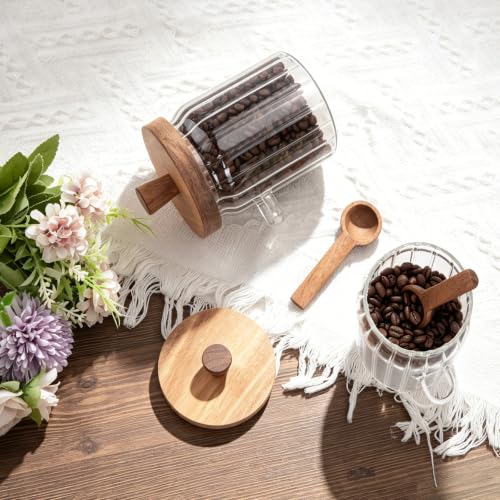 Glass Jar with Wooden Lid and Spoon, 20oz Coffee Container, Airtight Food Storage Container for Coffee Beans Cereal Nuts Salts Sugar Loose Leaf Tea Cookie Pasta