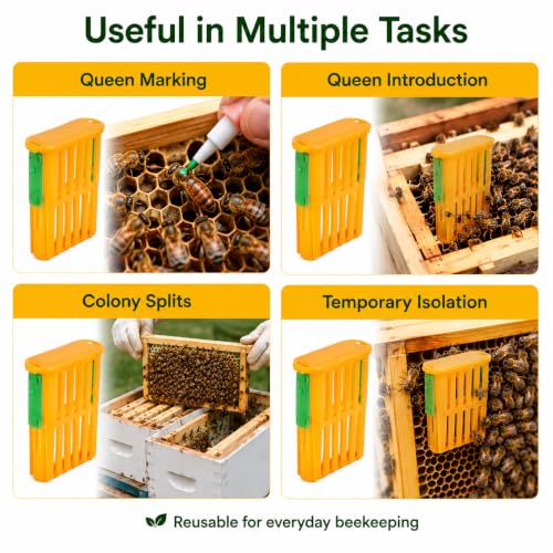 Queen Bee Catcher Cage Plastic Beekeeping Ventilated Clip 10PCS | Queen Bee Catcher Cage, Plastic Beekeeping Clip, Ventilated Design, Secure Grip, Reusable Tool, Set of 10