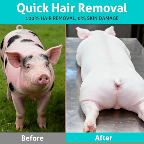3 Pcs Pig Hair Removal Tool, Hog Scraping Tool, Stainless Steel Pig Hair Scraper Tool Suitable for Pig, Cattle, Sheep, Horses, Donkeys, Deer, Chickens Hair Removal in Slaughterhouses