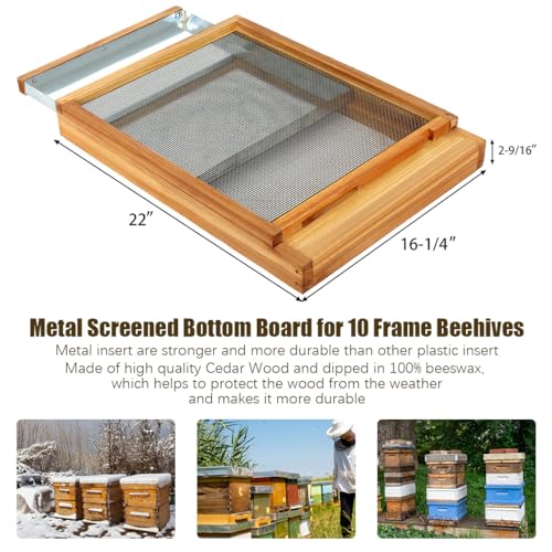 Honey Lake 10 Frame Beehive Metal Screened Bottom Board Dipped in Beeswax with Entrance Reducer for Langstroth Beehives (2 Pack) - size: 2Pcs-10Frame