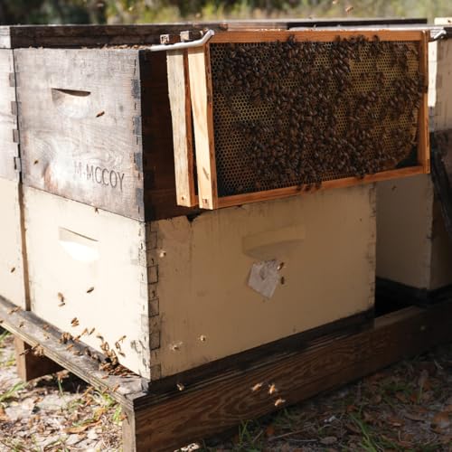 Mann Lake Stainless Steel Beehive Frame Perch, 3 Full Frame Capacity, Beekeeping Frame Holder Tool for Honey Harvesting & Inspection, All Beekeeping Levels