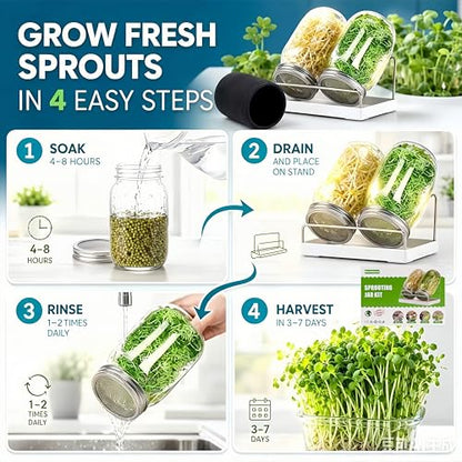 Sprouting Kit,Seed Sprouting Jar Kit,2Pcs Large Wide Mouth Mason Jar with 304 Stainless Steel Screen Sprout Lid,Sprout Jar Stand,Tray,Blackout Sleeves,Sprouts Growing Kit for Broccoli,Mung Bean - color: Red