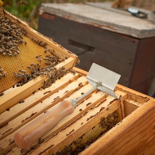 iplusmile Beehive Frame Cleaning Shovel for Efficient Hive Cleaning Stainless Steel Scraper Sturdy Hive Frame Scraper with Wooden Handle for Beekeeping