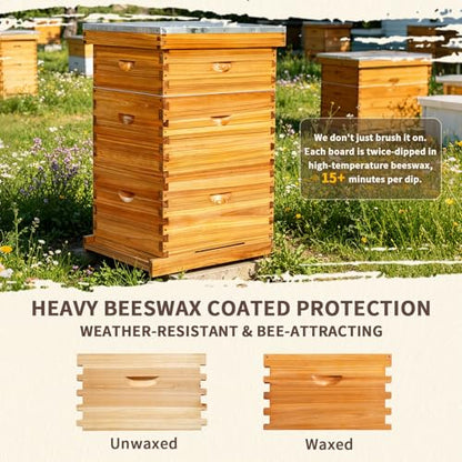 10-Frame Langstroth Bee Hive,3 Layers Beeswax Coated Beehive Kit Includes 2 Deep Brood Hive Boxes and 1 Medium Super Bee Box with Beehive Frames and Foundations - size: 3 Layers
